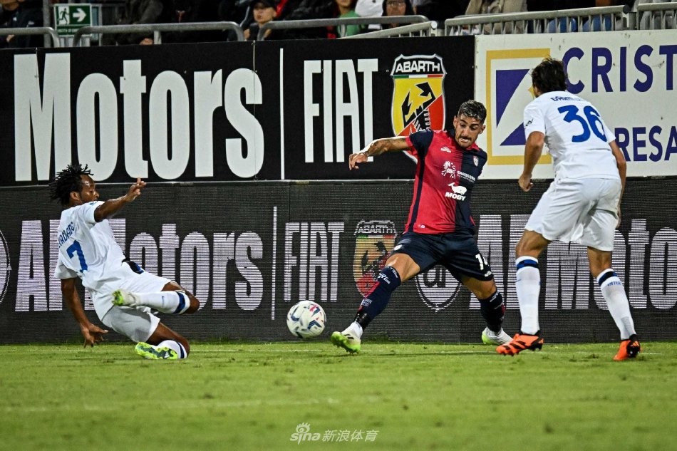 谢卡特队不 谢卡特队不