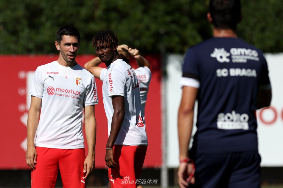 界杯的球队 界杯的球队