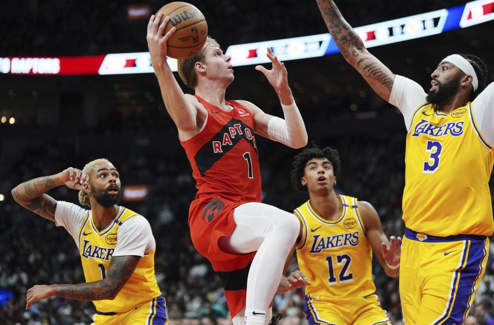 国体育注入 国体育注入